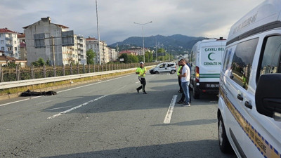 Araca giren arı 2 kişinin ölümüne neden oldu