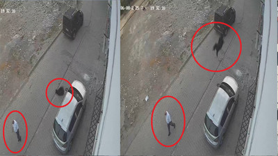 Kurbanlık keçi damdan atladı! Yoldan geçen adam kıl payı kurtuldu