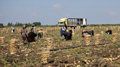 Patates fiyatları dibi gördü