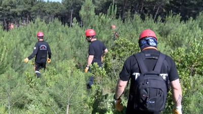 Ormanda kaybolan Şaban Aksoy’u arama çalışmaları sürüyor