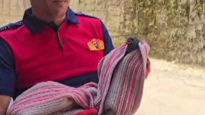 3 gün mahsur kalmıştı! Yavru karga kurtarıldı