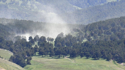 Polen fırtınası Sarıkamış’ı sardı: Görüş mesafesi düştü!