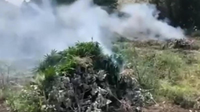 Bakan duyurdu: Milyonlarcası imha edildi