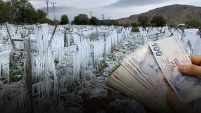 Dev bankadan çiftçiye zirai don desteği! 36 il 10 ürün