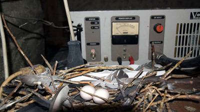 Radyo vericisine yuva! Masraf edip kurulumu taşıdı