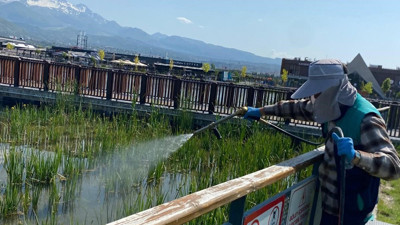 Kayseri'de yeşil alanlarda ilaçlama çalışması