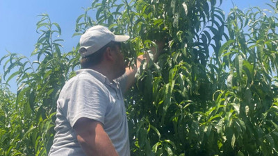 Ve sezon başladı ilk fiyatı belli oldu! Yazın iki katı yükselmesi bekleniyor