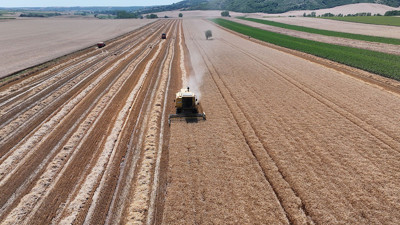 Edirne'de buğday üreticilerinin hasat mesaisi başladı