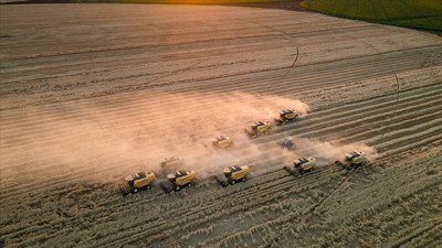 TÜİK mayıs ayı tarım ürünleri üretici fiyat endeksini açıkladı