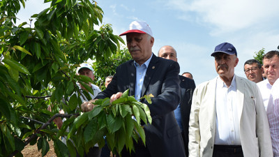 Zirai don vurdu! Fiyatı ateş pahası, yemesi artık lüks oldu