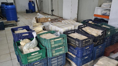 Buca’da gıda faciası! Küflenmiş peynir deposu ortaya çıktı