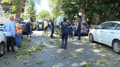 Beşiktaş’ta ağaç faciası: Aracı hurdaya çevirdi
