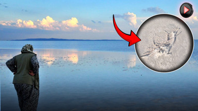 Türkiye’nin ikinci büyük gölünde katliam! Susuz kalan yüzlerce yavru öldü: Bu felakete kim 'dur' diyecek'?