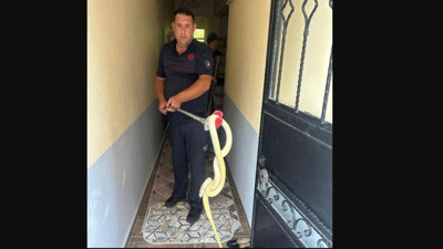 Davetsiz misafir korkuttu! Gönen'de bir eve sızdı, itfaiye alarma geçti