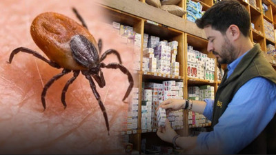 Kene kabusuna karşı doğal kalkan: Vatandaşların bulduğu yöntem şaşırttı