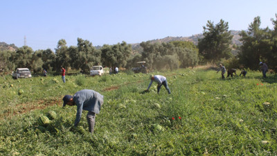 Çukurova’dan sonra Türkiye’nin gözü burada
