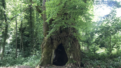 Tesadüfen bulundu bir ili heyecan sardı