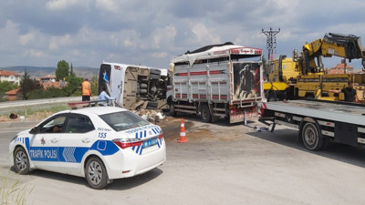 Kamyonetle minibüs çarpıştı! Hayvanlar kaçtı: 3 kişi yaralandı