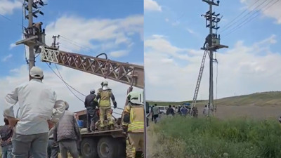 Elektrik direğindeki trafoda can pazarı