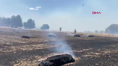 Çanakkale'de tarlada başladı, ormana sıçradı!