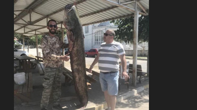 Meriç Nehri’nde rekor av! Dev balık yakalandı