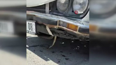 Motorun içinden çıktı: Polatlı'da sürpriz misafir!