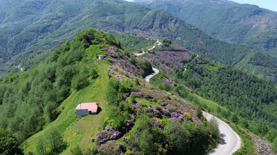 Dört mevsim yaylalar! Kayıt altına alınıyor