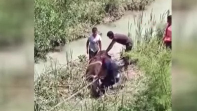 Dere yatağında operasyon! Bataklığa saplanan hayvanlar böyle kurtarıldı
