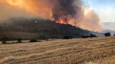 Bilecik'teki yangın kontrol altına alındı: 50 hektar alan zarar gördü