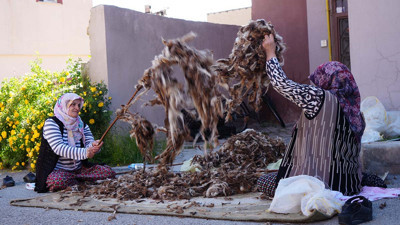 Kadınların yün yolculuğu! Bayburt’ta gelenek sürüyor