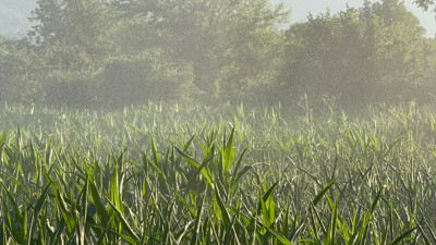 Düzce çiftçisi kuraklığa karşı icat çıkardı