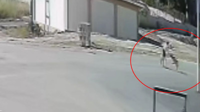 Köpeğiyle gezen kadına vahşi saldırı! Hastanede tedavi altına alındı