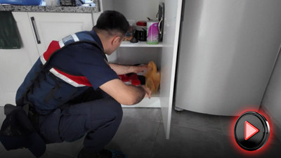 Jandarma çeteyi çökertti! Milyonluk vurgun