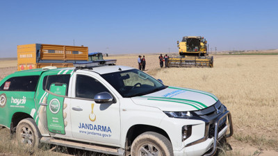 Hasat dönemi başladı! Jandarma sahada