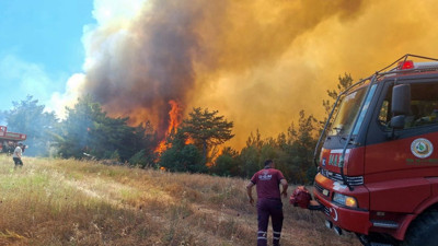 Sakarya Valiliği’nden orman yangını açıklaması