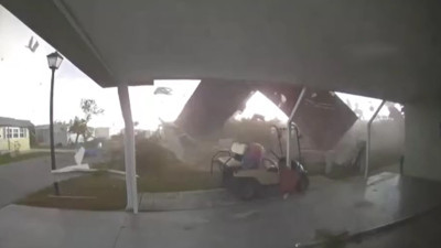 Ev at gibi şaha kalktı! Sesi korku saçtı