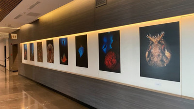 Derinliklerin sırrı açığa çıkıyor! Sualtı sanatla bilim buluşuyor