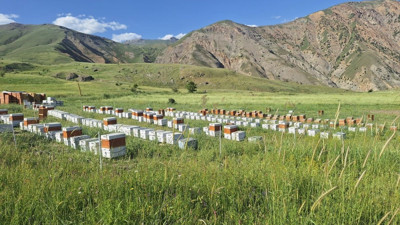 Kırsal yatırımlar için hibe desteği