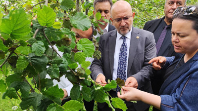 TBMM, Giresun’daki zirai don hasarını yerinde gördü