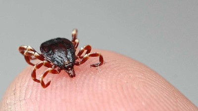 KKKA hastalığı nedeniyle bir ölüm daha!