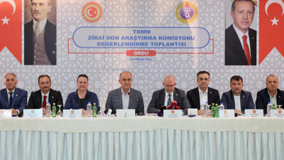 Fındıkta büyük felaket! TBMM Ordu’da zararı araştırıyor