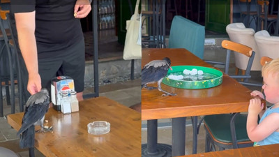 Sıcaktan bunaldı soluğu kafeteryada aldı! Turistler bile şaşırdı