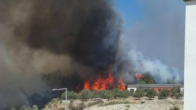 Hatay'da orman yangını! Alevler çevreye yayıldı