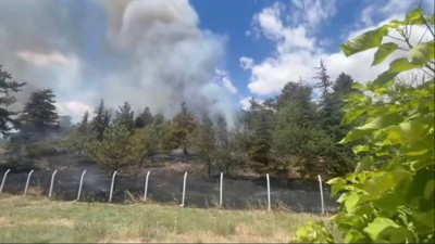 Babaeski’de çamlık alanda çıkan yangın söndürüldü