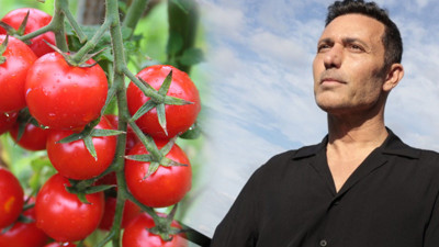 Mustafa Sandal domates fiyatlarının peşine düştü! Almanya'da sokak sokak gezdi