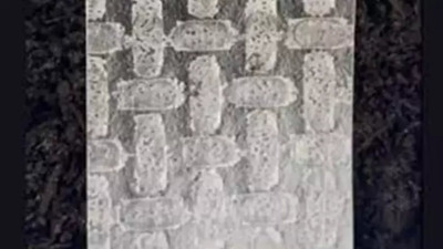 Pirinç yufkasından teknoloji devrimi! Robotik yenilik