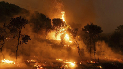 Mehmetçik'in yangınlara müdahale etmeme sebebini açıkladı. Emekli Tümgeneral sessizliğini bozdu...