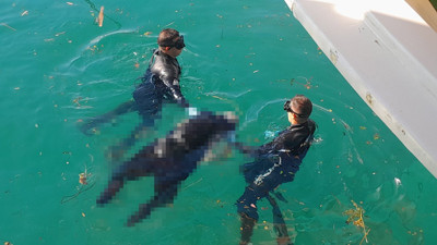 Engelli vatandaş iskeleden kendini denize bıraktı. İntihar anları kameralara yansıdı