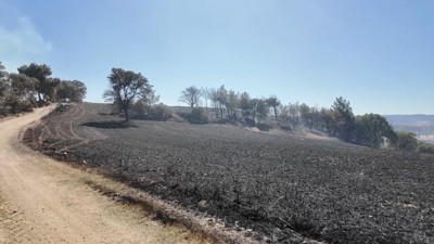 Kütahya ve Burhaniye'deki orman yangını kontrol altına alındı