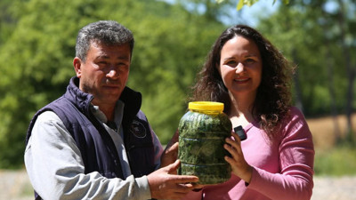 Böceksavar turşusu: Şifa Köyü’nden doğal bariyer!